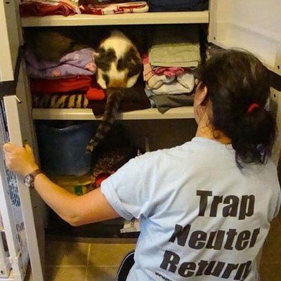 They have to be extra careful when putting away the towels and blankets....they always have help.