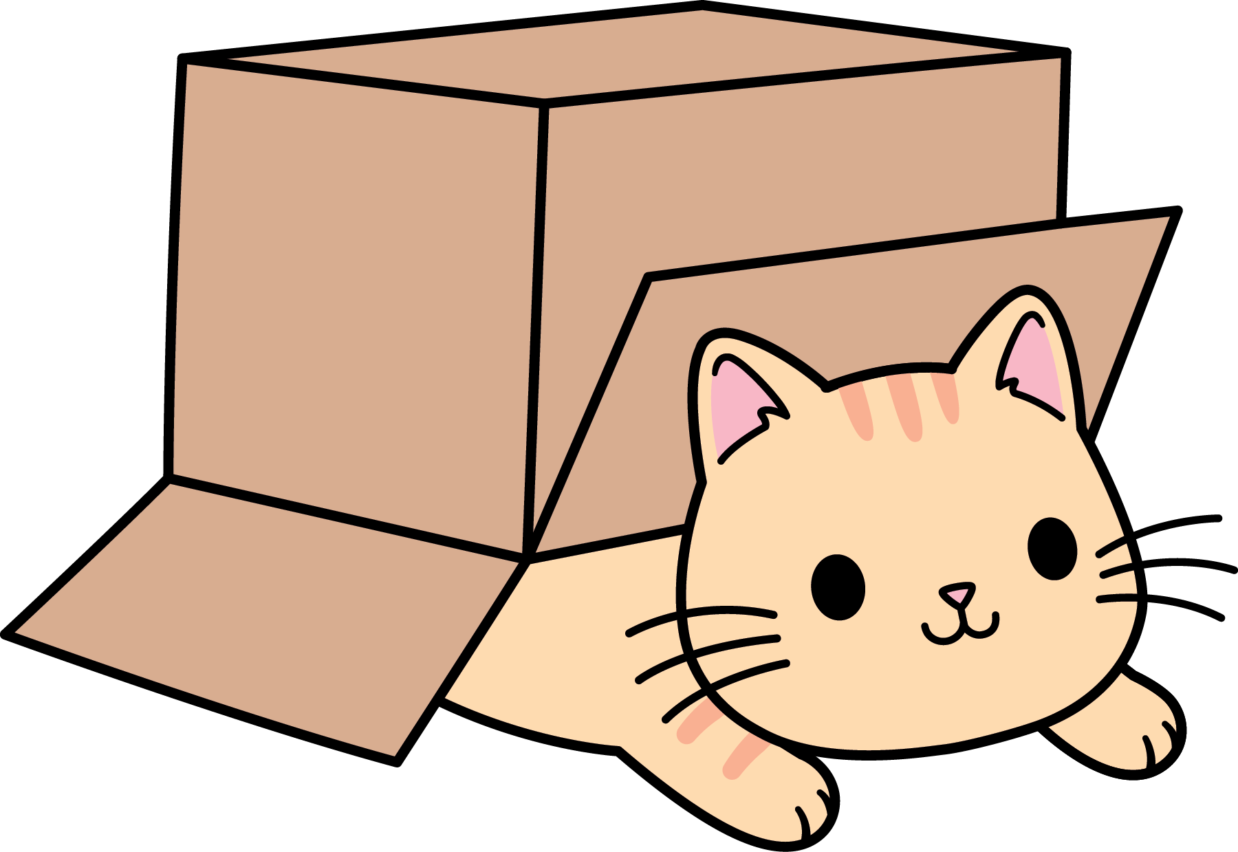 Cat In Box Drawing paringinst1
