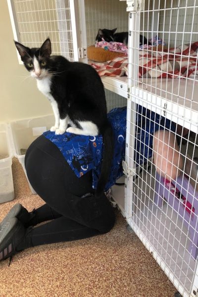 Cleaning supervisor!