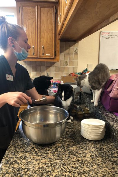 Lots of helpers in the kitchen!!