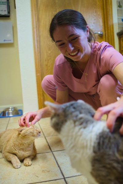 Tabbytha and Suzy enjoy some scritches from Abby