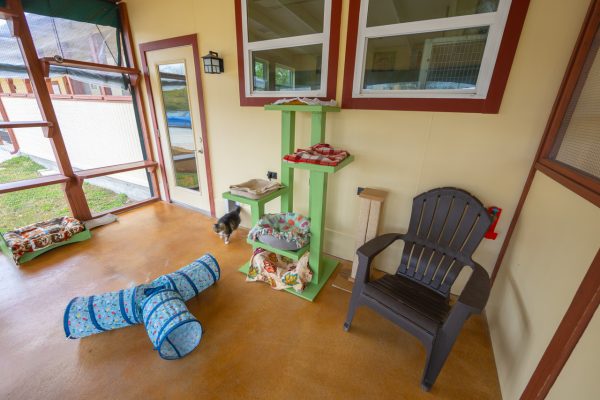 Cookies Cottage Catio