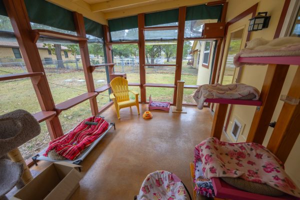 Cookies Kingdom Catio